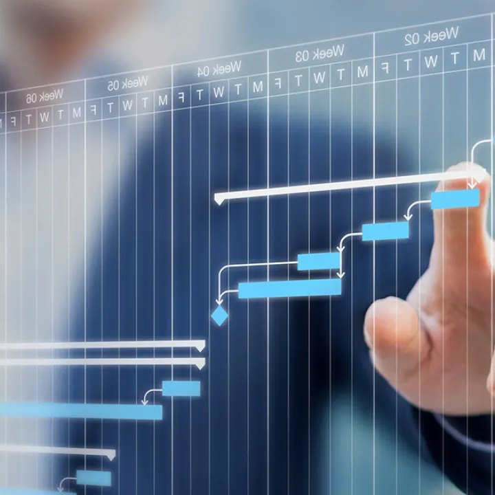 Leistung Projektsteuerung